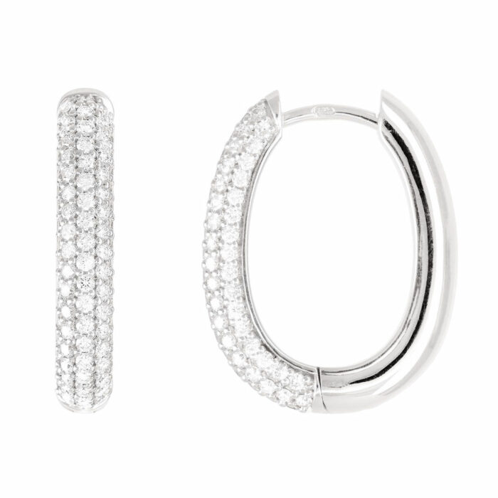 Visa for love Earrings