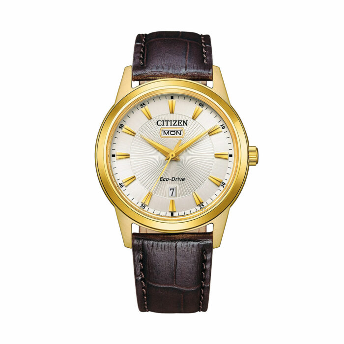 Citizen Classic Eco-Drive Watch AW0102-13A